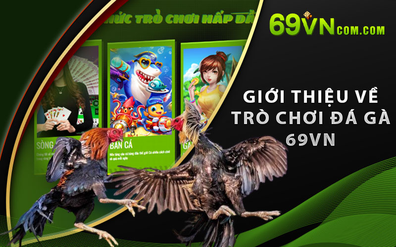 Giới thiệu về trò chơi Đá Gà 69VN