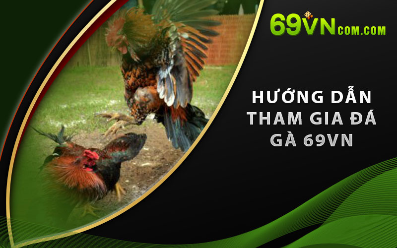 Hướng dẫn tham gia Đá Gà 69VN