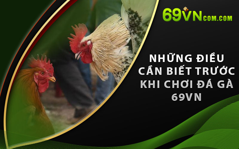 Những điều cần biết trước khi chơi Đá Gà 69VN